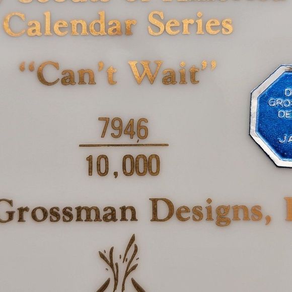 Norman Rockwell Boy Scout Plate "Can`t Wait" 1981 First Addition #7946 of 10,000 - Picture 6 of 7